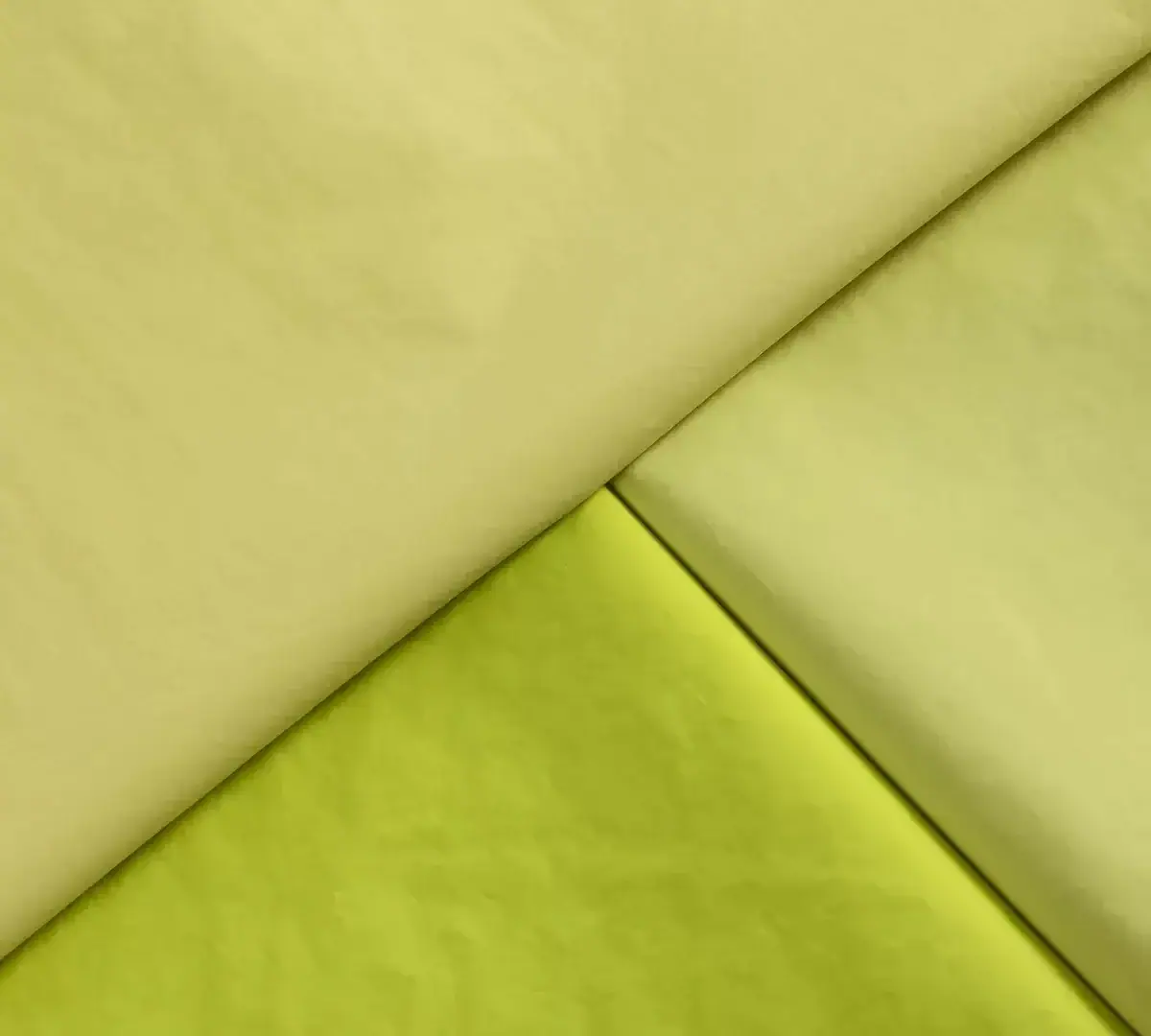 480T High-Density Nylon Down Jacket Fabric fabric image