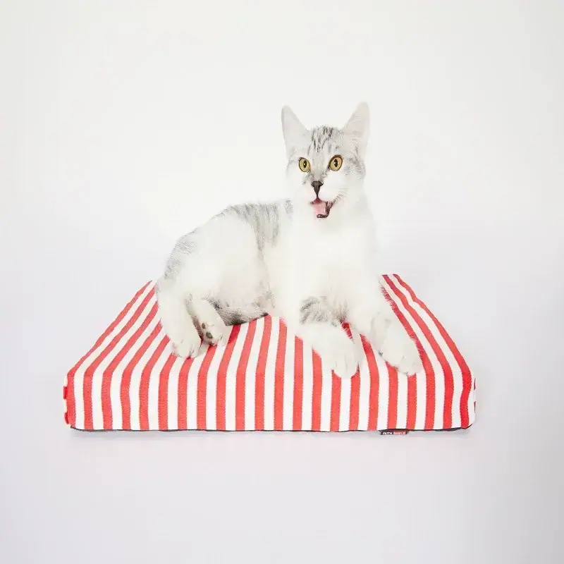 Cooling Antibacterial Bite-Resistant Fabric for Pet Mats Pet Cooling Mats, Pet Products, Protective Pads, Bite-Resistant Linings, Functional Home Textiles gallery image 2
